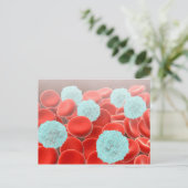 白血球を持つ赤血球 ポストカード (スタンド正面)