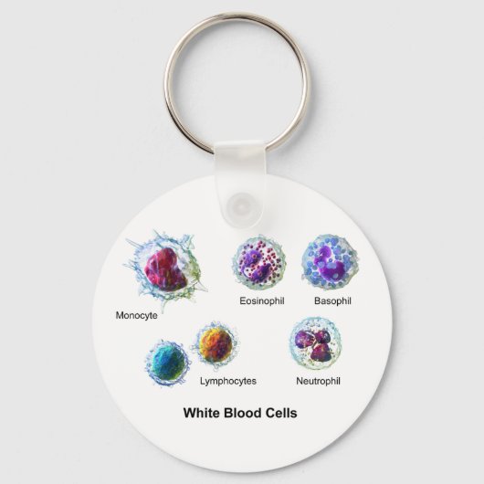白血球図 キーホルダー (正面)