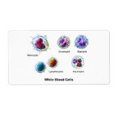 白血球図 ラベル (正面)