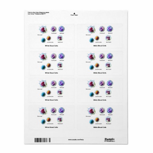 白血球図 ラベル (フルシート)