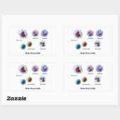 白血球図 長方形シール (シート)