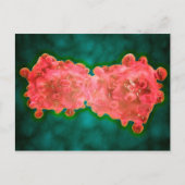 白血病細胞の顕微鏡写真 ポストカード (正面)