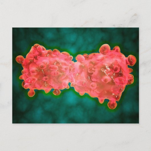 白血病細胞の顕微鏡写真 ポストカード (正面)