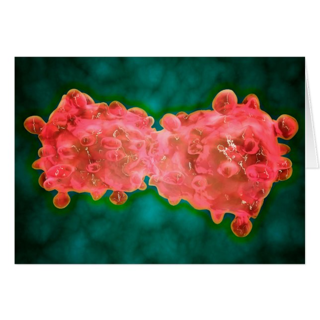 白血病細胞の顕微鏡的見解 (正面横)