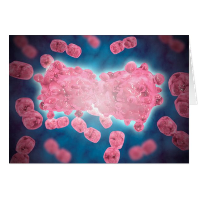 白血病細胞群の顕微鏡的見解 (正面横)