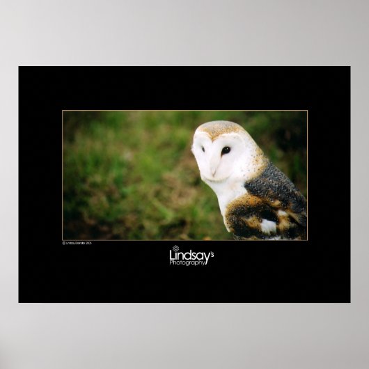 白衣 ポスター (正面)