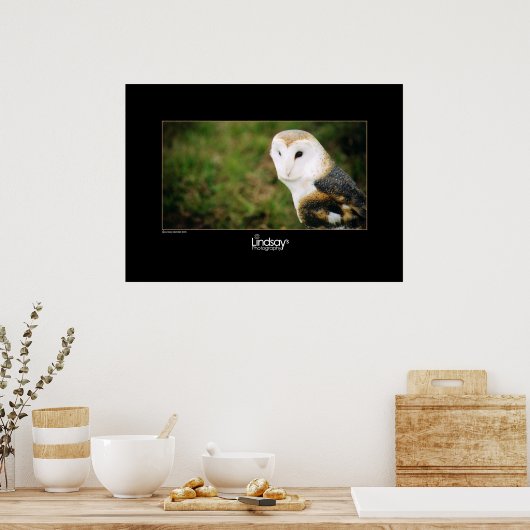 白衣 ポスター (キッチン)