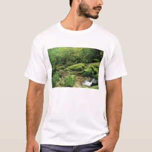 白谷雲水峡、屋久島、鹿児島、日本 Tシャツ