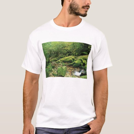 白谷雲水峡、屋久島、鹿児島、日本 Tシャツ (正面)