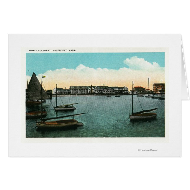 白象の表示 (正面横)