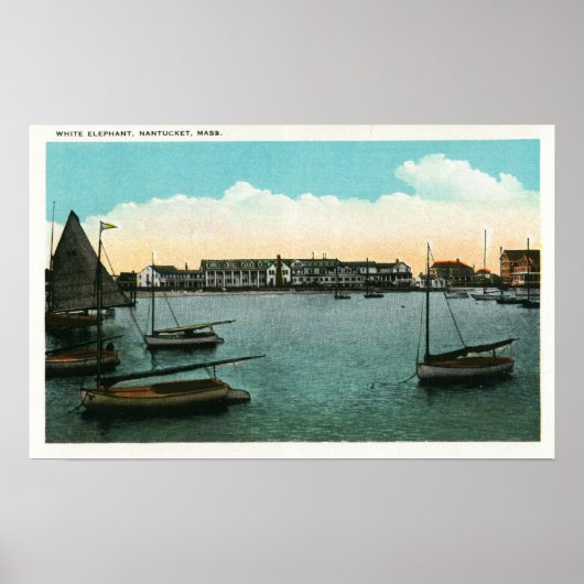 白象の表示 ポスター (正面)