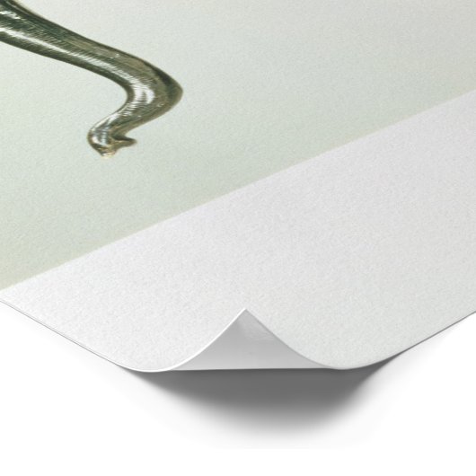 白象 ポスター (角)