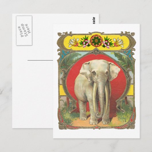 白象 ポストカード (正面/裏面)
