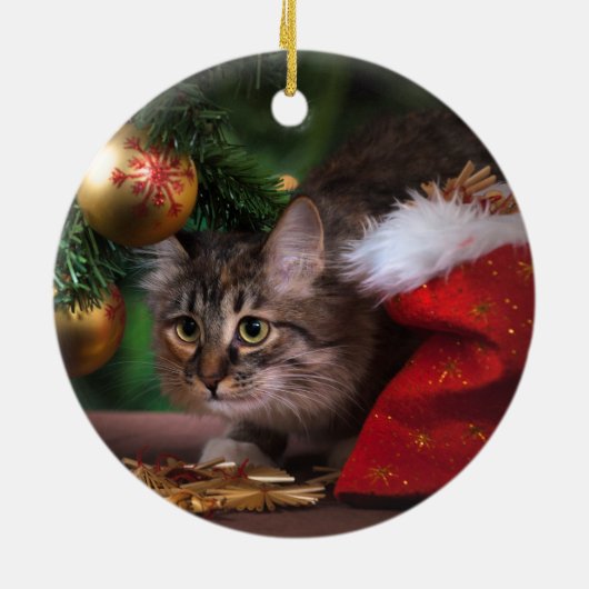 白足印刷用シルバーキャットName Year写真 セラミックオーナメント (裏面)