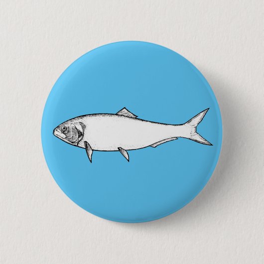 白身魚 缶バッジ (正面)