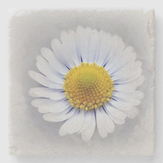 白輝くデイジー ストーンコースター (正面)