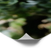 白輝く花 ポスター (角)