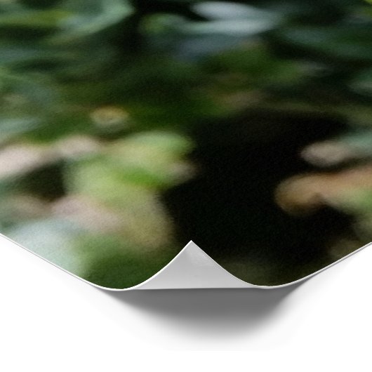 白輝く花 ポスター (角)