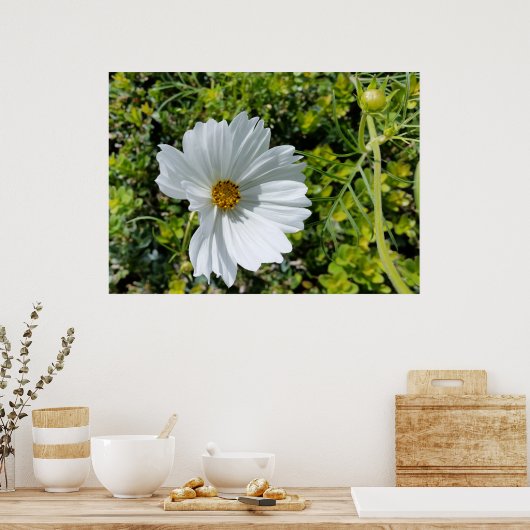 白輝く花 ポスター (キッチン)