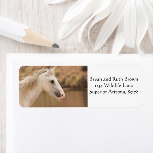 白野馬 ラベル (インサイチュ)