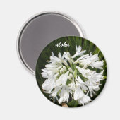 白開花アロハ マグネット (正面/裏面)