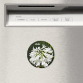 白開花アロハ マグネット (インサイチュ (食洗機))