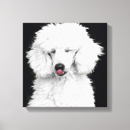 白間抜けプードル キャンバスプリント