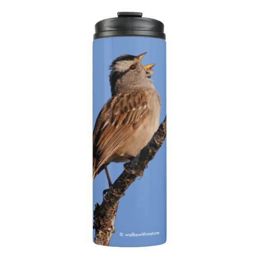 白雀が朝のアリアを歌う タンブラー (正面)