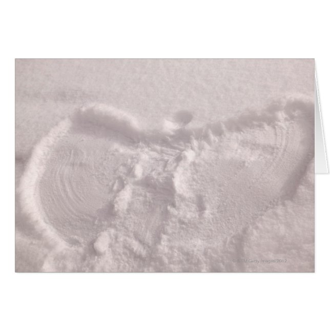 白雪に雪の天使が染み込んだ (正面横)