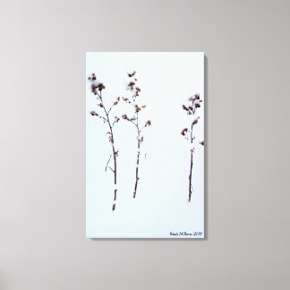 白雪のバリ キャンバスプリント