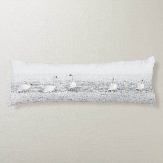 白雪の白鳥 ボディピロー (正面)