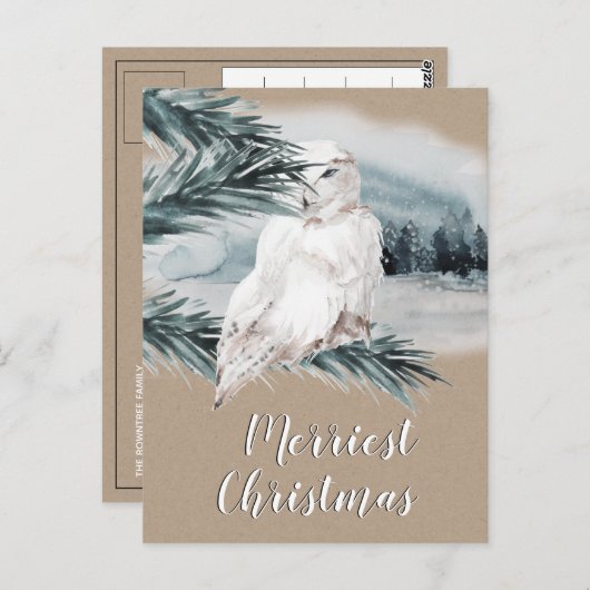 白雪フクロウブルースプルース枝の森の風景 ポストカード (正面/裏面)