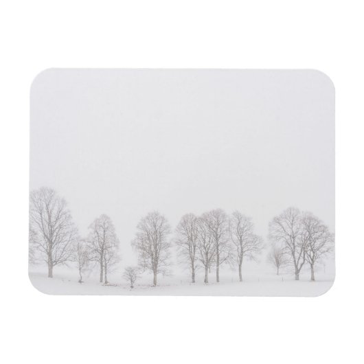 白雪世界の長方形マグネットに不毛の木 マグネット (横)