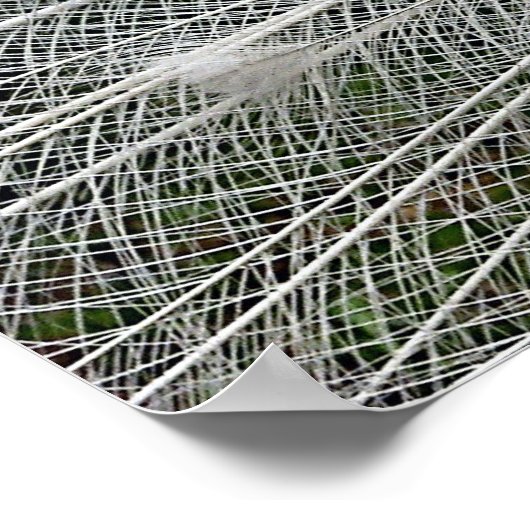 白雪姫 ポスター (角)