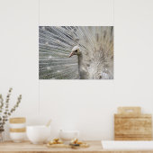 白雪姫 ポスター (キッチン)