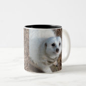 白雪毛皮のメルカット ツートーンマグカップ (正面右)