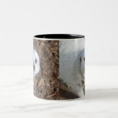 白雪毛皮のメルカット ツートーンマグカップ (中央)