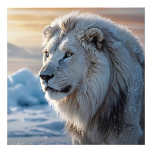 白雪獅子頭 フォトプリント            (正面)