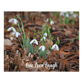 白雪降りお祝い フォトプリント