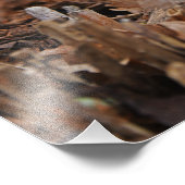 白雪降りお祝い フォトプリント (角)