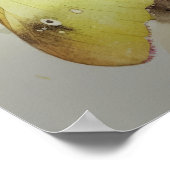 白雲硫黄バタフライアートプリントポスター ポスター (角)