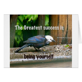 白頭のムクドリ