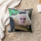 白頭カプチンモンキー用プラビダ クッション (ブランケット)