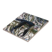 白頭カプチンモンキー用プラビダ タイル (側面)