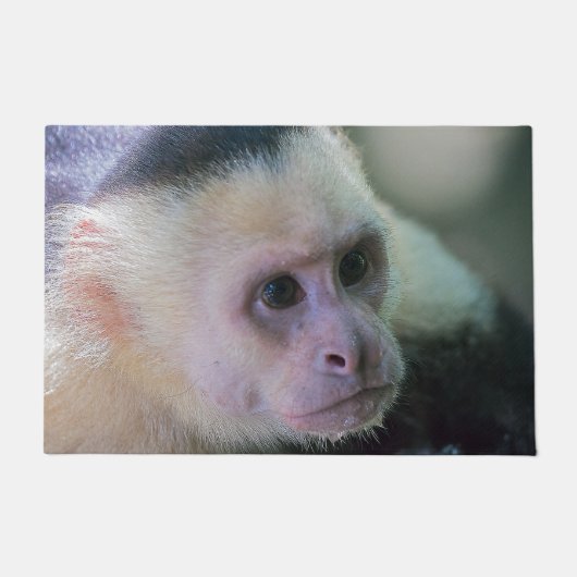 白頭カプチンモンキー用プラビダ ドアマット (正面)