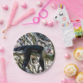 白頭カプチンモンキー用プラビダ ペーパープレート (パーティー)