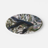 白頭カプチンモンキー用プラビダ ペーパープレート (アングル)