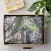 白頭カプチンモンキー用プラビダ 薄葉紙 (ギフト)