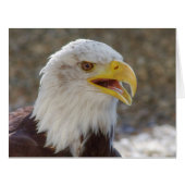 白頭症 (正面横)