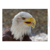 白頭症 (正面横)